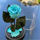 Cumpara ieftin Trandafir criogenat bleu (&Oslash;6,5cm) in cupola sticla (12x25cm)