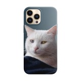 Husa compatibila cu Apple iPhone 14 Pro model Heterochromia cat, Silicon, TPU, Viceversa