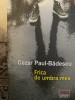 Cezar Paul Badescu - Frica de umbra mea, Polirom, 2019, Roman