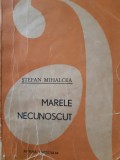 Marele necunoscut Stefan Mihalcea 1965