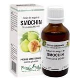 EXTRACT DIN MUGURI DE SMOCHIN 50ML, Plantextrakt