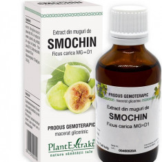 Extract din muguri de smochin 50ml