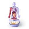 Science Can Corpul Uman - Enciclopedie Interactiva STEAM, 15 Piese, 6+ Ani, Joc Educativ Anatomie, Baieti/Fete