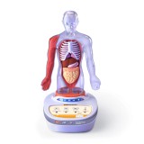Descopera corpul uman - Enciclopedie Interactiva STEAM PlayLearn Toys, Science Can