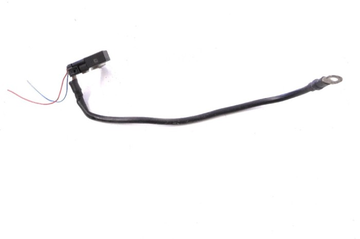 Borna cablu baterie MERCEDES-BENZ C T-Model S204 2010 OEM: A1665420418 11447618
