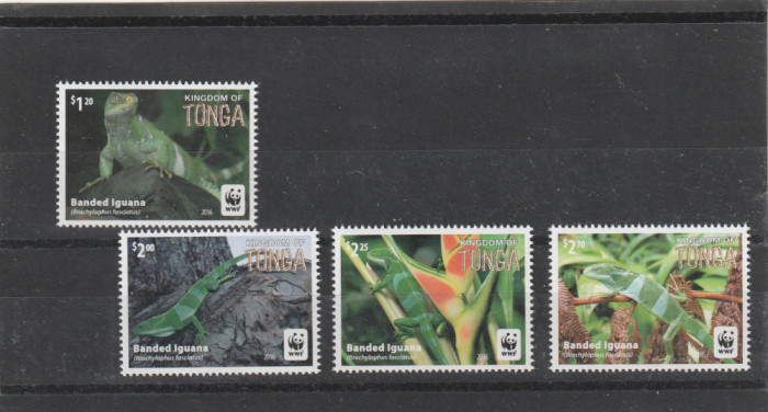 Tonga 2016-Fauna,WWF,Cameleoni,serie 4 valori (partea I),dant.MNH,Mi,2098-2101