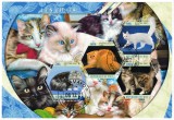 Timbre Mali 2021 - Pisici / Colita + Bloc - Colectie Francobolli Postale Afrika Briefmarken Stamp Stamps