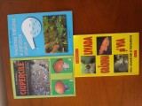 Pachet 3 Volume-N.Mateescu