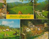 CPI B13951 CARTE POSTALA - APUSENI. IZBUCUL PONORULUI, SAT GHELAR, GARDA SEACA, Circulata, Fotografie