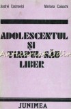 Cumpara ieftin Adolescentul Si Timpul Sau Liber - Andrei Cosmovici, Mariana Caluschi