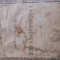 Morceaux Choisis des Metamorphoses Ovide