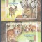 Eq. Guinea 1976 Animals, perf.+imperf.sheet, MNH AJ.082