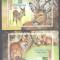 Eq. Guinea 1976 Animals, perf.+imperf. sheet, MNH S.095