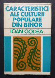 Caracteristici ale culturii populare din Bihor - Ioan Godea (arta populara)
