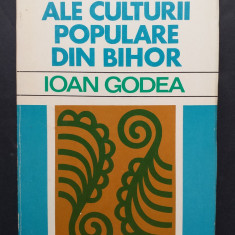 Caracteristici ale culturii populare din Bihor - Ioan Godea (arta populara)