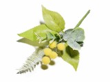 Cumpara ieftin Set 10 flori artificiale Mimosa 15 cm