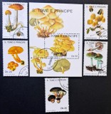 Ciuperci - S&atilde;o Tom&eacute; e Pr&iacute;ncipe 1990 - Coliță Filatelică + Set de 5 Timbre Seria Completa (Ștampilat) CP1_II