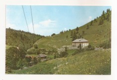 RF106 - Carte Postala - Complexul turistic Borsa, necirculata