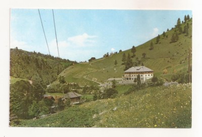RF106 - Carte Postala - Complexul turistic Borsa, necirculata foto