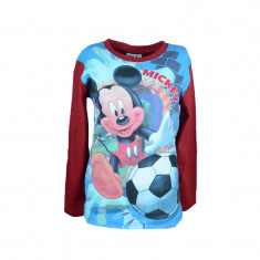 Bluza cu maneca lunga pentru baieti Disney Mickey Mouse 960-788, Multicolor foto