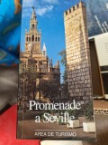 Jose Roda Pena - Promenade a Seville