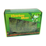 Muşchi pentru terariu Vivarium Moss - 150 g, LUCKY REPTILE