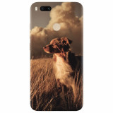 Husa silicon pentru Xiaomi Mi A1, Alone Dog Animal In Grass