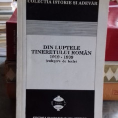 DIN LUPTELE TINERETULUI ROMAN (1919-1939) - CULEGERE DE TEXTE (EDITIE ANASTATICA)