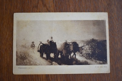 CP tematica arta Cartea Romaneasca pictura Grigorescu Car cu boi foto