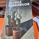 Florile faraonilor - Giorgio de Giacomo