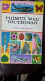 PRIMUL MEU DICTIONAR