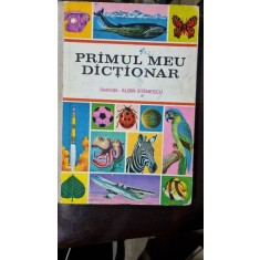 PRIMUL MEU DICTIONAR