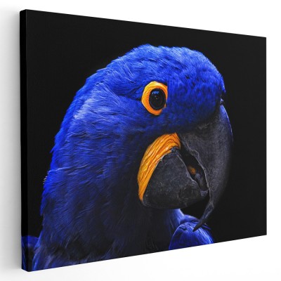 Tablou papagal Ara albastru galben albastru 1594 Tablou canvas pe panza CU RAMA 80x120 cm foto