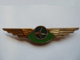 ROMANIA - INSIGNA AVIATIE CIVILA - PILOT TAROM , RARA , 1980 , RSR, IM 1.255