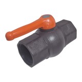 Cumpara ieftin Robinet din polietilena pentru apa, filet interior, Nr-8402, 3/4&quot;