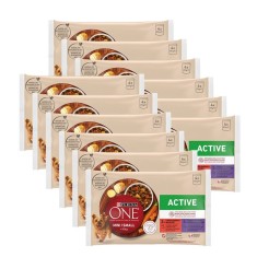 PURINA ONE MINI Dog Active Carne de vita ?i ra?a in suc 12 x (4 x 85 g) foto