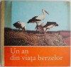 Un an din viata berzelor &ndash; Claus Schonert