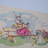 CARTE POSTALA FELICITARE NECIRCULATA