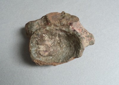 Os de dinozaur Cretacic foto