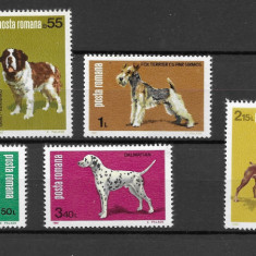 Romania 1981 - Expozitia canina, serie nestampilata, MNH, LP 1024