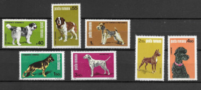 Romania 1981 - Expozitia canina, serie nestampilata, MNH, LP 1024 foto