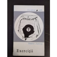 Dumitru Tepeneag - Exercitii