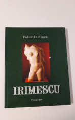 Album de arta Ion Irimescu Valentin Ciuca foto
