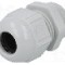 Presetupa poliamida, PG11, IP68, {{Seria producatorului}}, LAPP - 53018020