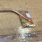 Cooler Laptop Clevo Adams M67SRU