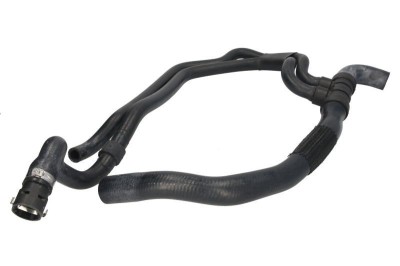 Furtun radiator RENAULT CLIO II (BB0/1/2, CB0/1/2) (1998 - 2005) THERMOTEC DWR010TT foto