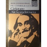 PE URMELE LUI GRIGORE ALEXANDRESCU-PETRE CHEORGHE BIRLEA-211220