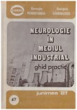 Gheorghe Pendefunda, Georgeta Sandulescu - Neurologie in mediul industrial - ghid practic - 128716