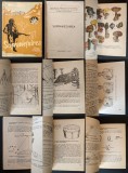 RAR vechi MANUAL militar practic de SUPRAVIETUIRE in NATURA 201 pag, ilustrat. 1970 M.F.A. Armata RSR Ghid Cercetasi Cercetasie Drumetie Munte Padure