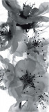 Fototapet FTV 0221 Floare alb si negru